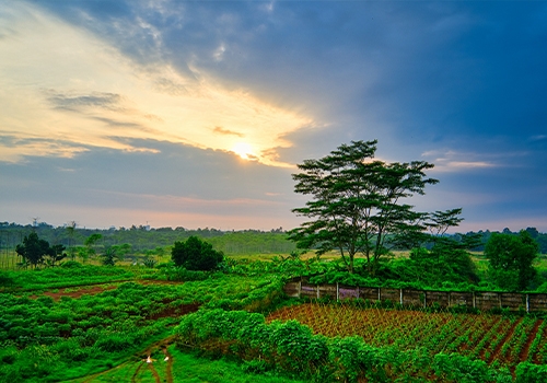 Environment – Trikailash Foundation