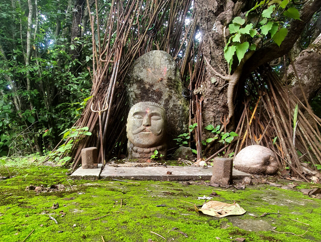 Discover The Divine - Trikailash Foundation